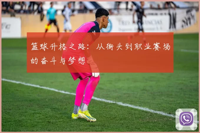 篮球升格之路：从街头到职业赛场的奋斗与梦想